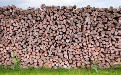 pile-of-wood-3458939_640